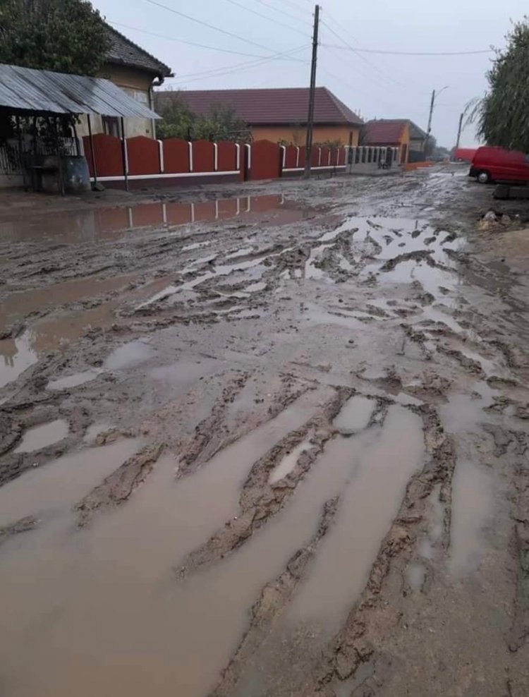 Pensionarul , padurarul si lautarul -  cei 3 muschetari de la Poiana Mare