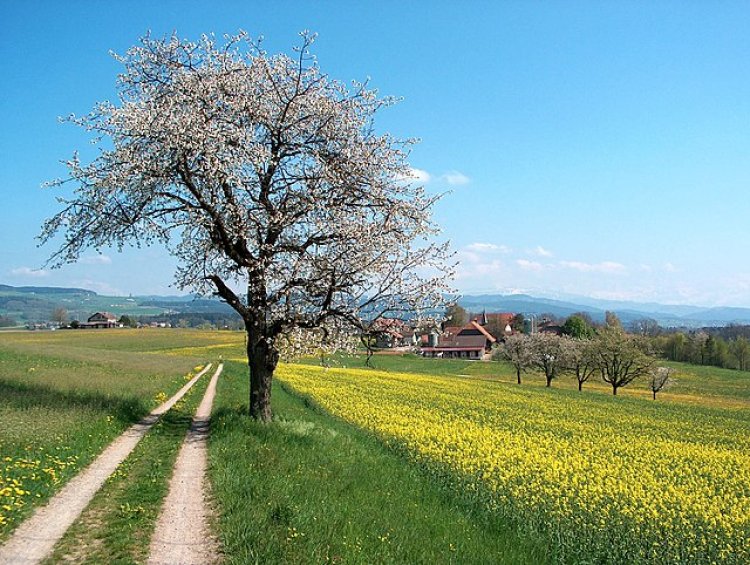 Prognoza meteo pentru următoarele 4 săptămâni. Cum va fi sfârșitul lui Februarie și începutul lui Martie