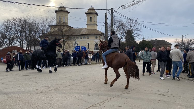 Botezul cailor la Ciupercenii Noi!